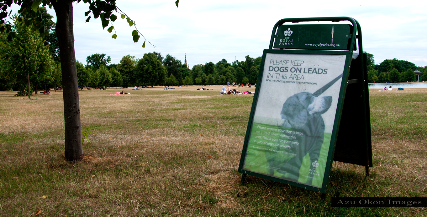 hyde park london, azu okon images, azu okon, beautiful london, cowry news
