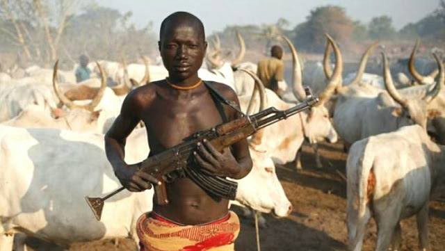 nigeria foreign fulani herdsmen